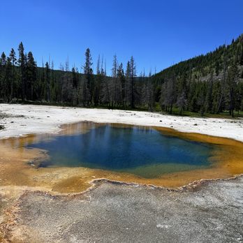 BrushBuck Wildlife Tours - Rainbow Pool - Tours Near Me - Jackson, Wyoming