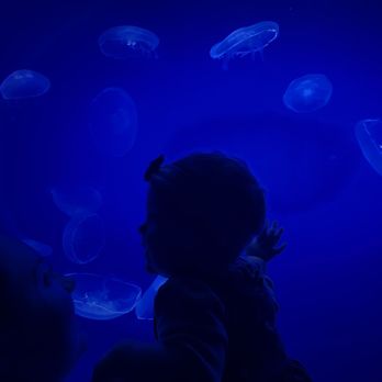Discovery Place Science - My daughter loved the fish - Museums Near Me - Charlotte, North Carolina