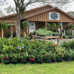 Poppin Up Plants - Store fron