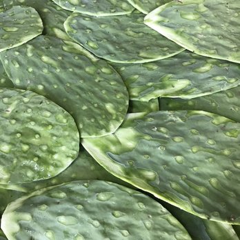 Mesón Estrella - Nopales - Farmers Market Near Me - Monterrey, NLE