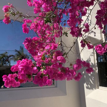 Bahia Resort Hotel - San Diego, CA