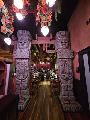 Gato Exotico by null