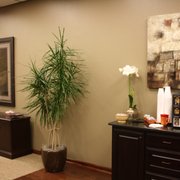 フィカス 160cm Green Life Interiors GREEN LIFE INTERIORS - Updated May 2026 - 21 Photos - Waco, Texas
