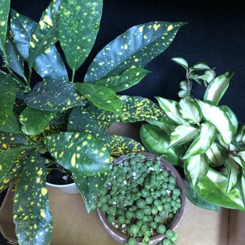 Knots & Found - Nurseries & Gardening Near Me - Martinez, California