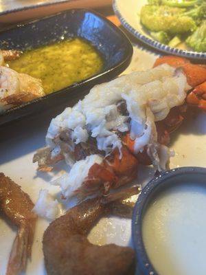Red Lobster by null