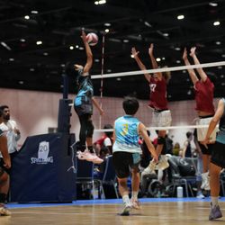 Urban Volleyball Athletic Club