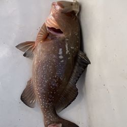Betts Fishing Center