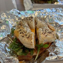 Toasted Everything Bagel