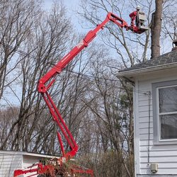 Mike's Tree Service