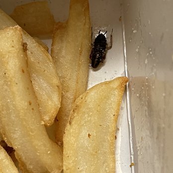 Denny's - Roaches with your food - Diners Near Me - Perris, California Denny's - Roaches with your food - Diners Near Me - Perris, California