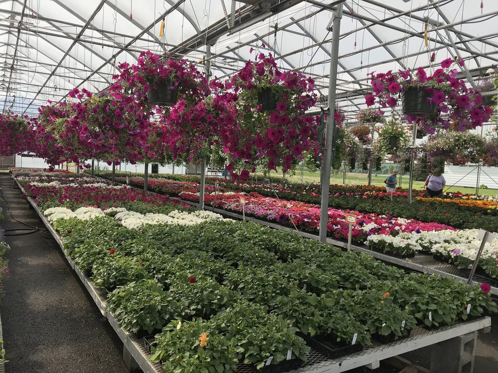 JULIANO FARMS Updated September 2024 2365 State Route 5, Utica, New