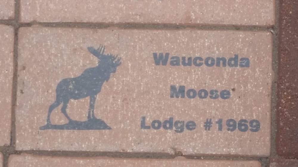 Loyal Order of Moose Lodge Wauconda No 1969 Ofc Logo