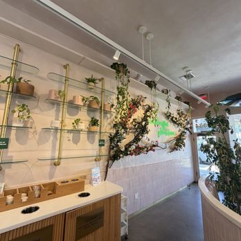 Coffee and Plants - Inside - Coffee & Tea Near Me - Studio City, California