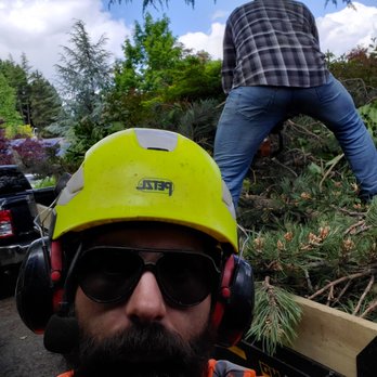 MAHA TREE - Tree Services Near Me MAHA TREE - Tree Services Near Me