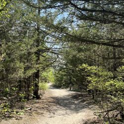 Lee G. Simmons Conservation Park & Wildlife Safari - Trails