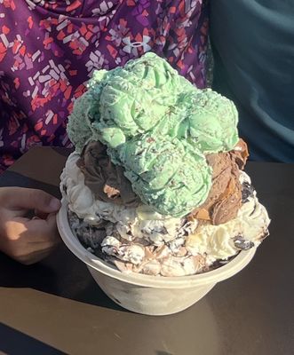 Nelson's Ice Cream by null