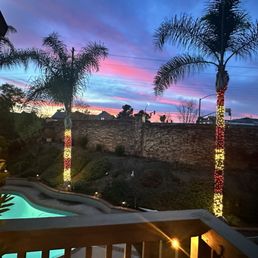 Candy Cane Palm Trees Candy Cane Palm Trees