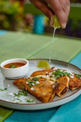 The Daily Dish by null