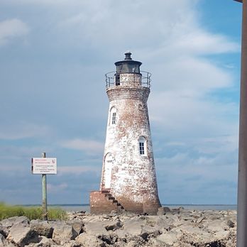 Capt. Mike's Dolphin Adventure Tour - Smallest lighthouse - Tours Near Me - Tybee Island, Georgia Capt. Mike's Dolphin Adventure Tour - Smallest lighthouse - Tours Near Me - Tybee Island, Georgia