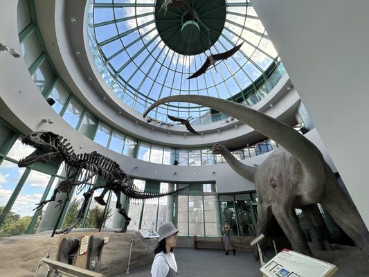 North Carolina Museum of Natural Sciences by null