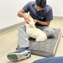 Photo of East & West Animal Hospital
