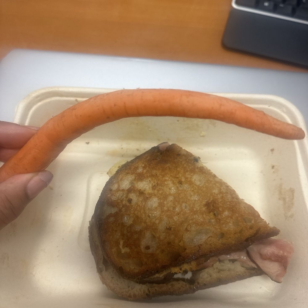 Ham sandwich and a wilted carrot Ham sandwich and a wilted carrot