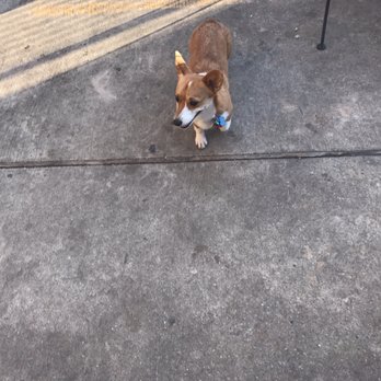 Underdogs Pub - Pubs Near Me - Houston, Texas
