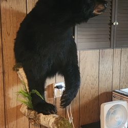 Rod's Taxidermy