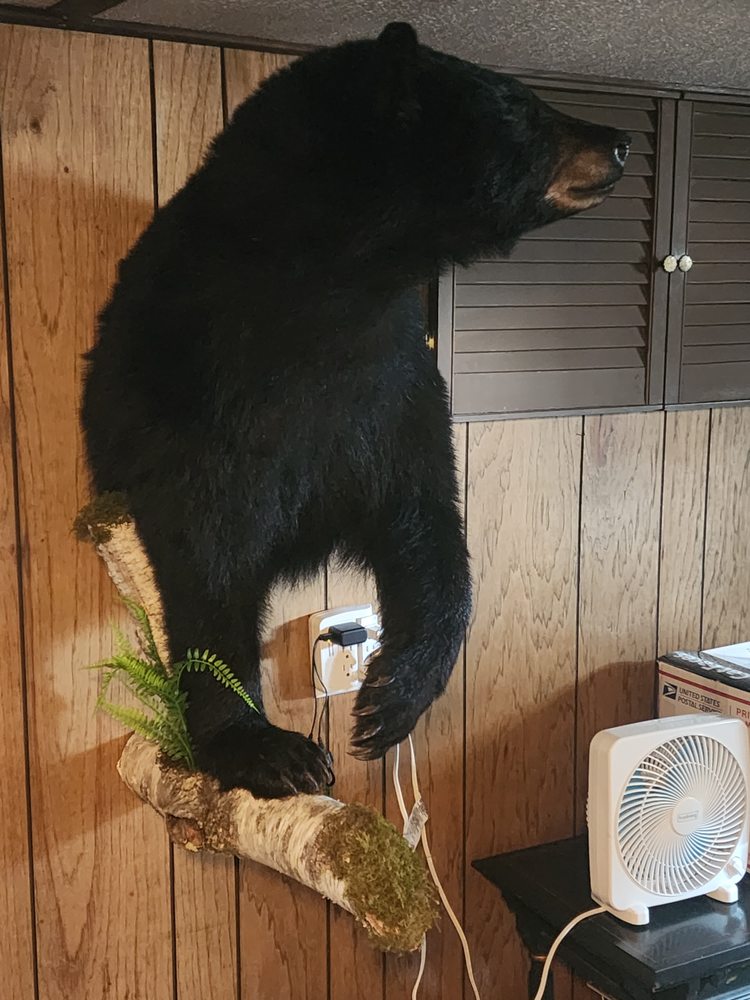 Rod's Taxidermy - taxidermy in Callicoon, NY