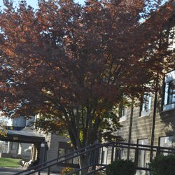 Grafton Oaks - Providing "Excellence in the City"