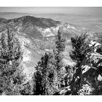 South Loop Trail - Iconic pup - Hiking Near Me - Mount Charleston, Nevada South Loop Trail - Iconic pup - Hiking Near Me - Mount Charleston, Nevada