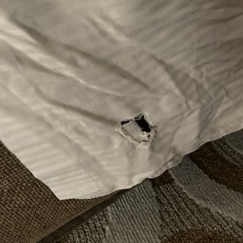 MGM Tower - Large holes in brown sheet cover - Hotels Near Me - Atlantic City, New Jersey MGM Tower - Large holes in brown sheet cover - Hotels Near Me - Atlantic City, New Jersey