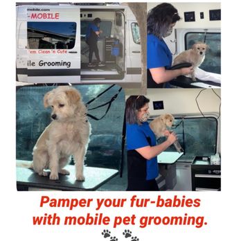 Aussie Pet Mobile Chino Hills - Pet Groomers Near Me
