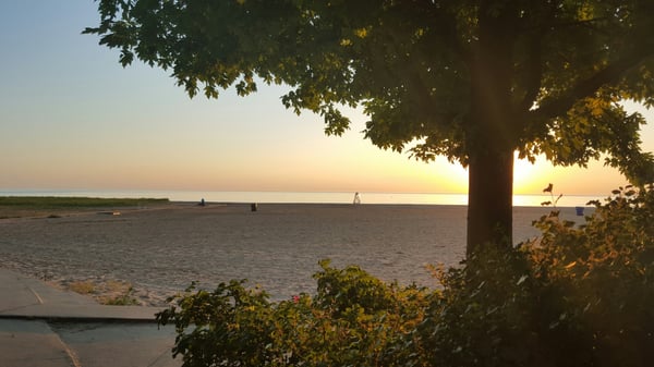 Kathy Osterman Beach House at Hollywood Beach by null