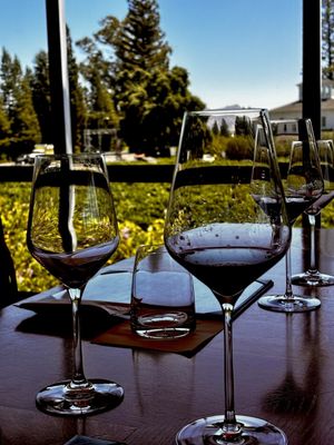 Whitehall Lane Winery by null