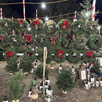 Clancy's Christmas Trees & Pumpkin Patch - They still have fresh wreaths available as of today (12/10) - Christmas Trees Near Me - San Francisco, California