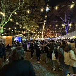 Bohemian Hall & Beer Garden - DSA Crowd