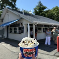 Hayward's Ice Cream - 1 scoop Oreo icecream