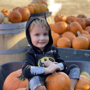 Larry's Produce - Batman with our pumpkin bounty - Fruits & Veggies Near Me - Fairfield, California Larry's Produce - Batman with our pumpkin bounty - Fruits & Veggies Near Me - Fairfield, California