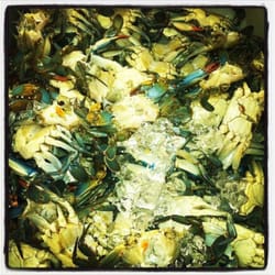 Clam Shack