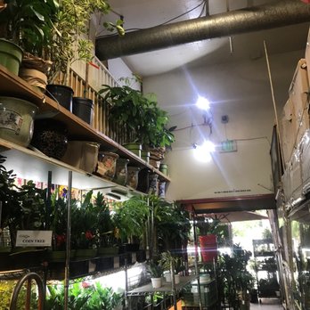 Rainbow - Nurseries & Gardening Near Me - Rosemead, California Rainbow - Nurseries & Gardening Near Me - Rosemead, California