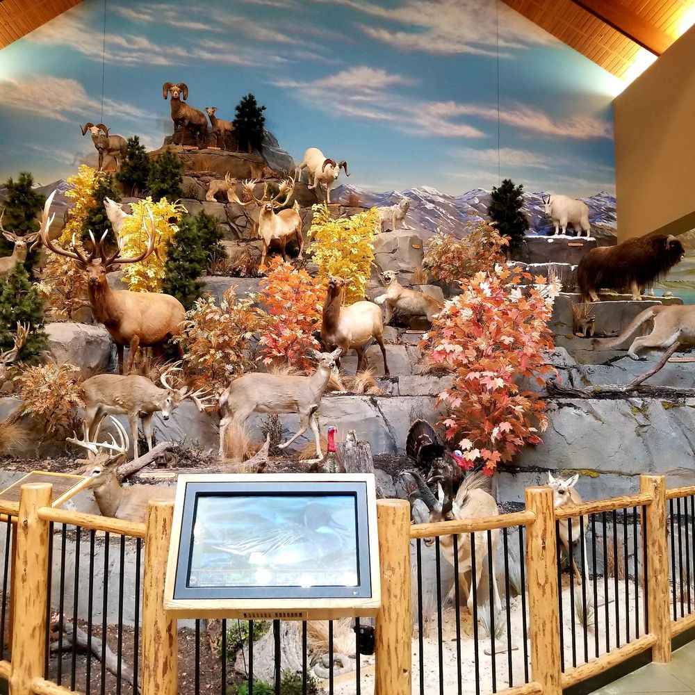 Cabela's - Local Game Display... - Guns & Ammo Near Me - Louisville, Kentucky