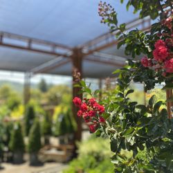 Sloat Garden Center