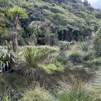 Zealandia - Zoos Near Me - Wellington, WGN Zealandia - Zoos Near Me - Wellington, WGN