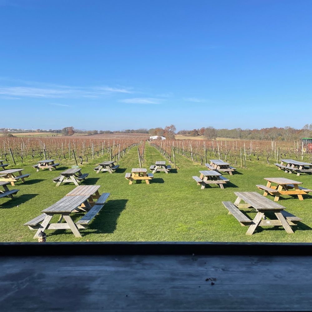 Palmer Vineyards - Wineries Near Me - Aquebogue, New York Palmer Vineyards - Wineries Near Me - Aquebogue, New York
