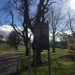 Alexandra Park - Sunny days at the park