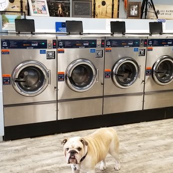 Sudzys Laundromat - Brody says come on in! - Laundromat Near Me - Big Pine Key, Florida Sudzys Laundromat - Brody says come on in! - Laundromat Near Me - Big Pine Key, Florida