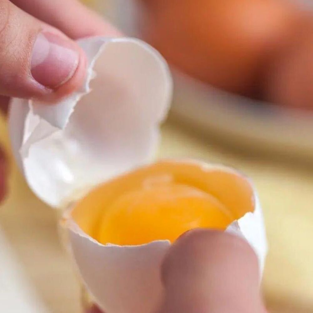 Pasture fresh eggs