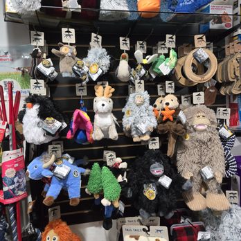 Ball Ground Hounds - Pet Stores Near Me - Ball Ground, Georgia