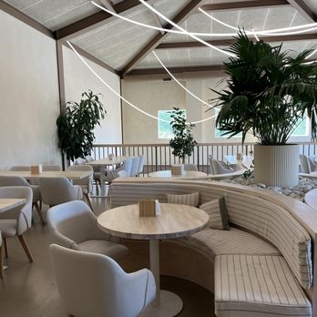 Café Blanc - Cafes Near Me - Parma Heights, Ohio Café Blanc - Cafes Near Me - Parma Heights, Ohio